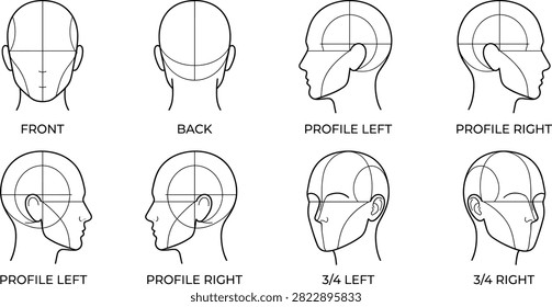 Set of vector outline human head proportion guides in various angles including front profile and three quarter views for flat color design