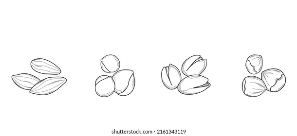 Conjunto de iconos de contorno vectorial - tuercas. Hazellanas, pistachos, almendras.