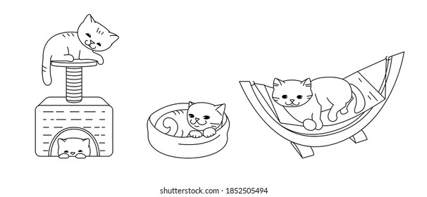 Set of vector outline illustrations. Beds for cats.