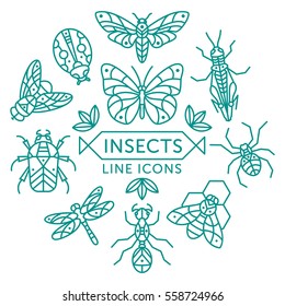 Set of vector outline insects icons arranged in circle