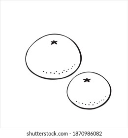 Set of Vector outline Oranges, mandarins or tangerines isolated on white. Black contour elements. Ingredients for lemonade, jam, new year or christmas design. Hand drawn doodle simple fruit clipart