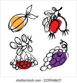 Set, vector in outline style. Natural organic ingredients, food for vegetarians and vegans menu. Design element, logo, print, sticker.