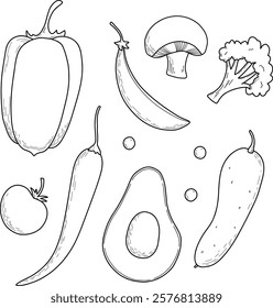 Set of vector outline vegetables for coloring, menu design, vegetarians, nutritionists. Onion, eggplant, tomato, peas, beans, carrots, potatoes, radishes, peppers, champignons, broccoli. Hand drawing