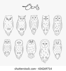 Set of vector owls, line art