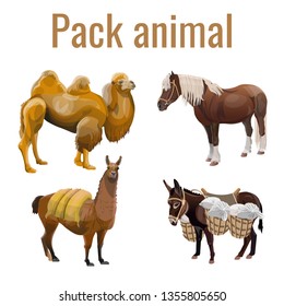 Set of vector pack animals. Realistic illustration isolated on white background