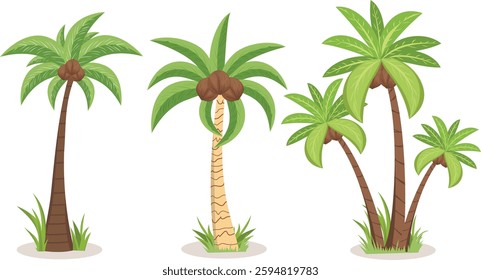 set of vector palm and coconut tree , vector illustration of palm tree, realistic palm tree