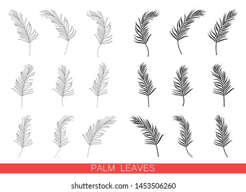 Set of vector palm leaves isolated on white background. Exotic tropical plants. Design element for card,print, wallpaper,plant shop, travel agency. Contour and silhouette. Black and white.