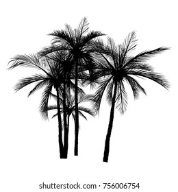 set of vector palm tree silhouette icons on white background