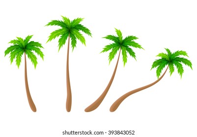 Set of vector palm trees isolated on a white background. Cartoon collection of palm trees. Vector illustration.