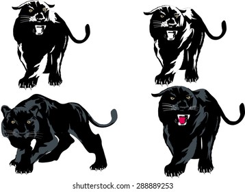 Set of vector panters isolated on white. black panters big hunter cats