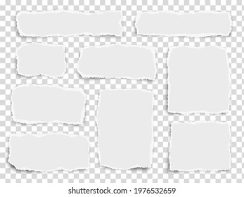 Set of vector paper different fragments scraps isolated on transparent background