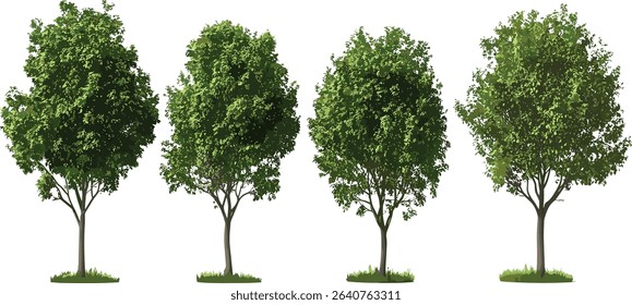 Set of vector parks trees, environmental isolate, nature design, eco friendly outdoor scene, forest greenery, park landscape, sustainable environment, natural habitat, green eco parks