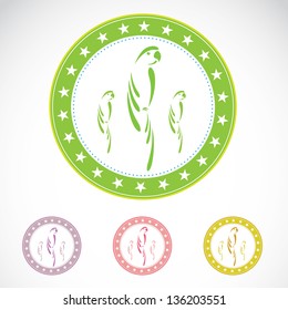 Set of vector parrot label on white background