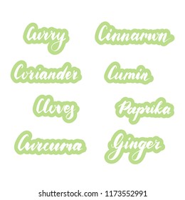 Set of vector patch labels. Stickers with names of herbs and spices for kitchen jars or containers. Hand drawn elements for your design. Graphic illustration