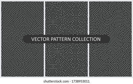 Set of Vector Patterns In Flat Colors and organic patterns