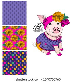 Set of vector patterns with pretty dressed pig. Print on T-shirts, bags and and other fashion products. Design children's clothing and accessories.
