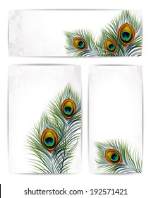 Set of vector peacock feathers with space for text. EPS 10 