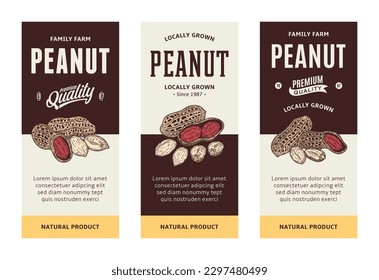 Set of vector peanut label templates, nuts packaging design