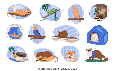 Set of vector pet or domestic animals. Collection of home companion. Dog or puppy, parrot bird and cat, iguana and tarantula spider, aquarium fish and rabbit in cage, turtle, rat, hamster, marten