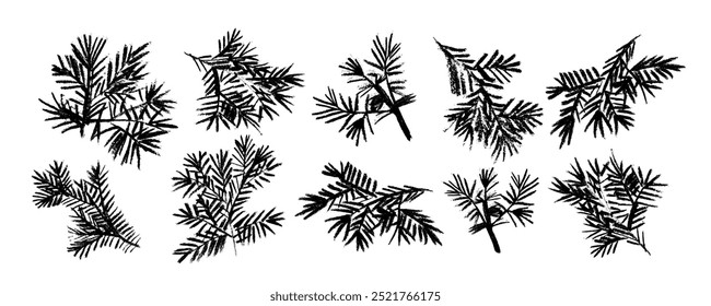 Set with vector pine branches, hand drawn pencil. Charcoal illustration. Christmas ornament for wrapping paper and decor.