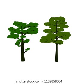 set of vector pines, two conifers stylized trees