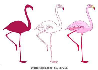 Set of vector pink flamingo bird illustration. Hand drawn sketch with the wild animal in color, outlines, silhouette