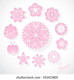 Set of Vector Pink Flowers
