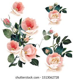 Set of vector pink roses for design