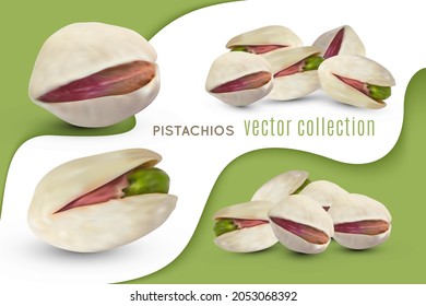 Set of vector pistachios nuts. Realistic salted kernel with dry shell. Pistache isolated on white and green background. Vegetarian fruit illustration.