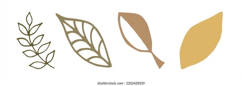 Set of vector plant doodle elements for modern design