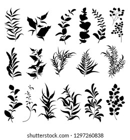 Set of vector plant silhouettes on white background.