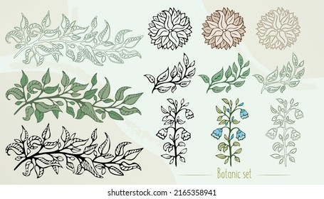 Set of vector plants drawings in line and color.