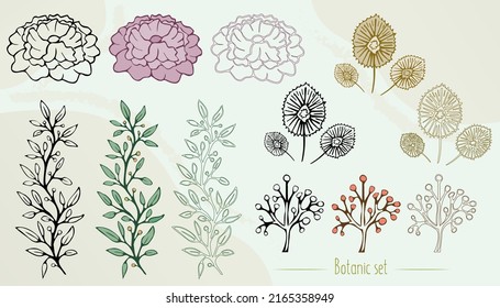Set of vector plants drawings in line and color