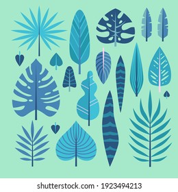 Set of vector plants in flat style. Jungle, bright and succulent leaves.