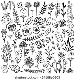 set of vector plants and flowers drawn by hand on a white background