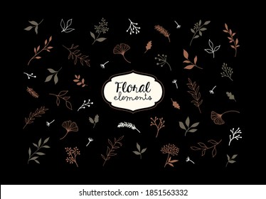 Set of vector plants and herbs. Hand drawn floral elements.