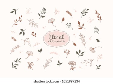 Set of vector plants and herbs. Hand drawn floral elements.