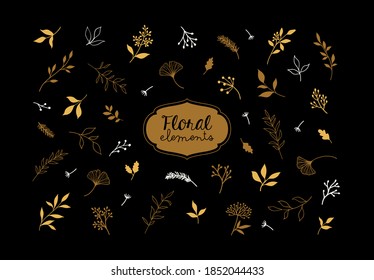 Set of vector plants and herbs. Hand drawn floral elements.