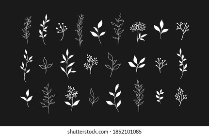Set of vector plants and herbs. Hand drawn floral elements.