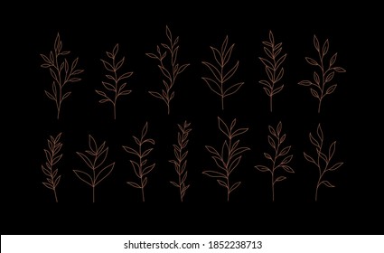 Set of vector plants and herbs. Hand drawn floral elements.