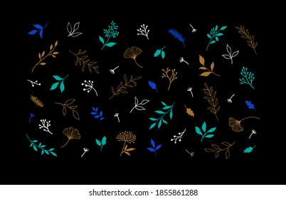 Conjunto de plantas vectoriales y hierbas. Elementos florales dibujados a mano.