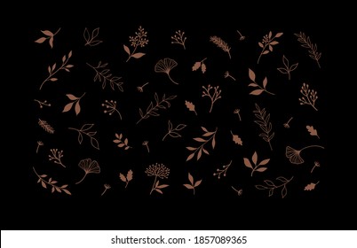 Set of vector plants and herbs. Hand drawn floral elements.