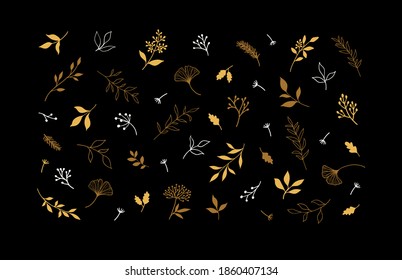 Conjunto de plantas vectoriales y hierbas. Elementos florales dibujados a mano.