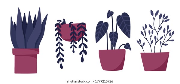 Set of vector plants, home garden, blue and pink flowers, flat plants