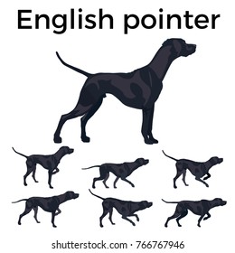 Set Of Vector Pointer Dog. Vector Illustration Isolated On The White Background