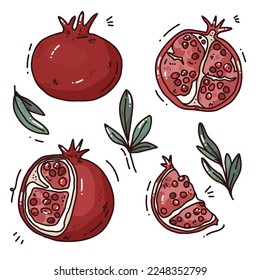 set with vector pomegranate and leaves. cute illustration with colorful fruit. Vector bright clip arts