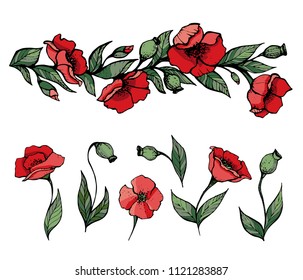 Set of vector poppies, for the design of printed products