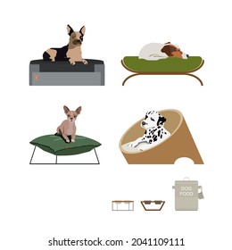 A set of vector of portraits of small dogs, drawn in a flat style. Vector illustration in cartoon style. A puppy as a gift. Vector illustration