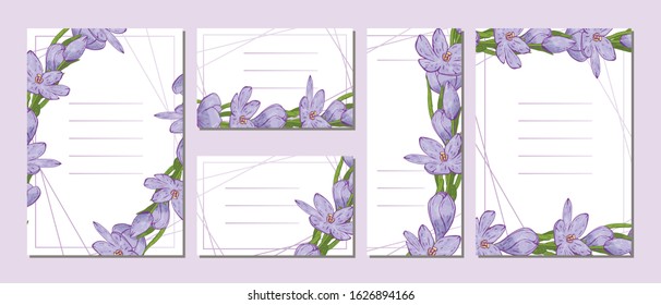 Set of vector postcards with a design of delicate purple crocuses. Festive romantic spring collection. Cards for invitations, congratulations with a place for text.