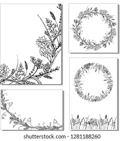set of vector postcards with wild herbs